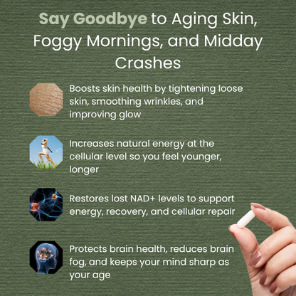 NAD+ Advanced: Nicotinamid-Ribosid + Resveratrol